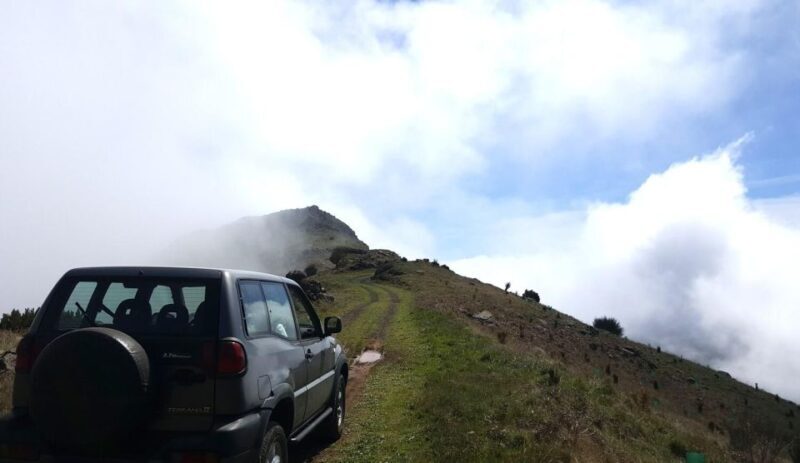 Private Half-Day Tour of Funchal Sky to Sea - Key Points