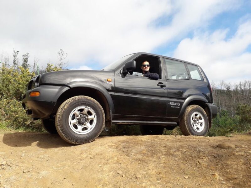 Private Half-Day Tour of Funchal Sky to Sea - What Travelers Say
