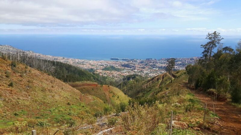 Private Half-Day Tour of Funchal Sky to Sea - The Sum Up