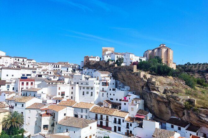 Private half-day tour of Ronda and the White Villages with native - Key Points
