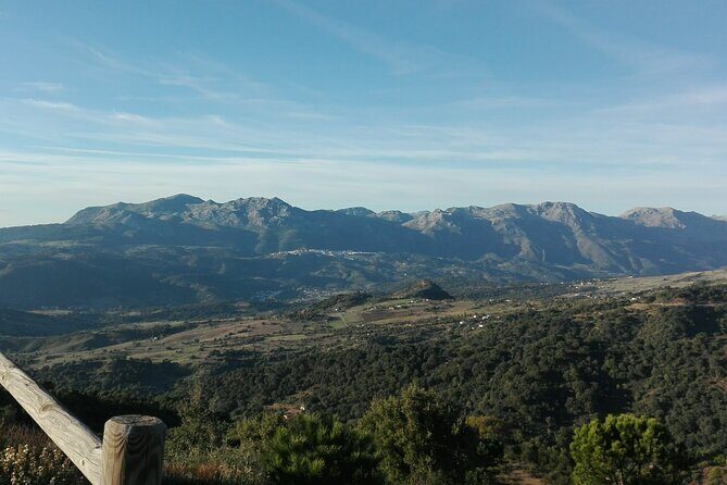 Private half-day tour of Ronda and the White Villages with native - What Past Travelers Say