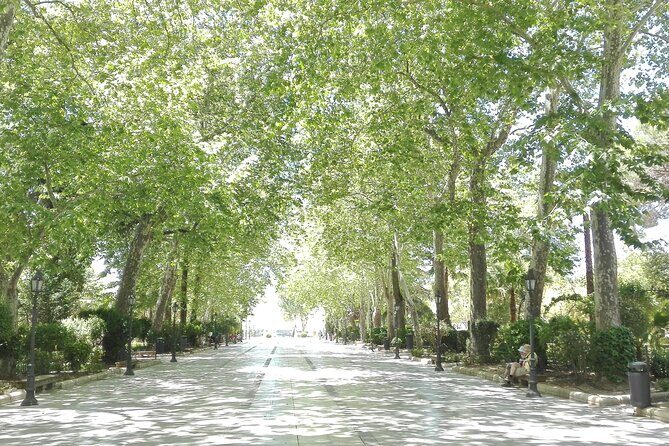 Private half-day tour of Ronda and the White Villages with native - Analyzing the Value