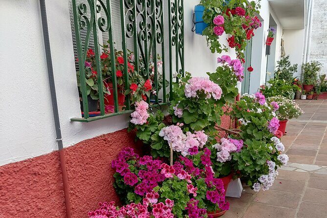 Private half-day tour of Ronda and the White Villages with native - Final Thoughts