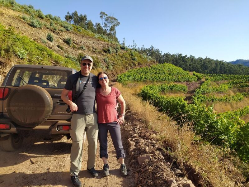 Private Half-Day Tour of Wine Fields - Transportation and Group Dynamics
