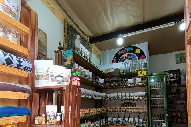 Private Half-Day Tour of Zacatlan and Chignahuapan from Puebla - Who Will Appreciate This Tour?