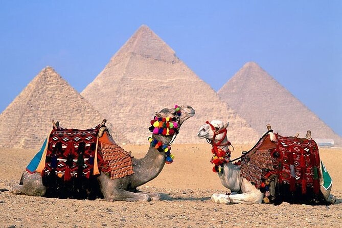 Private Half Day Tour to Giza Pyramids and Sphinx in Cairo - Customer Reviews and Ratings