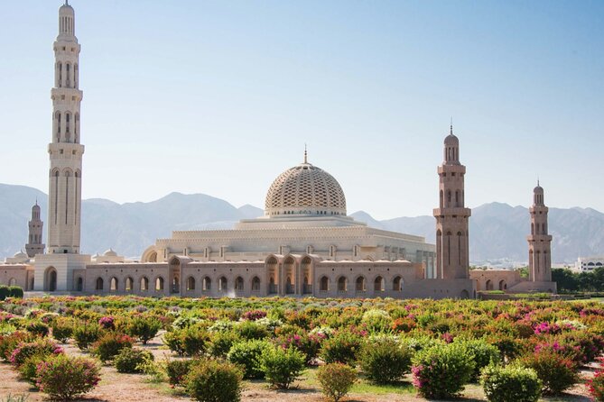 Private Half-Day Tour to Grand Mosque-Nakhal Fort and Hotspring - Inclusions and Amenities