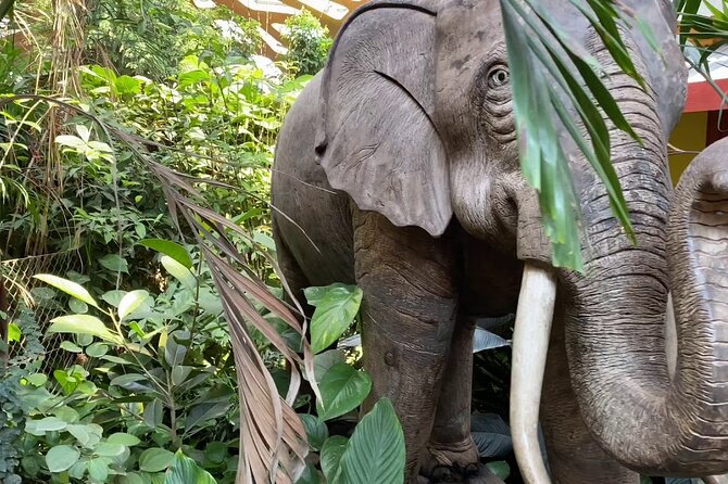 Private Half Day Tour To The Zoo In Giza - Whats Included