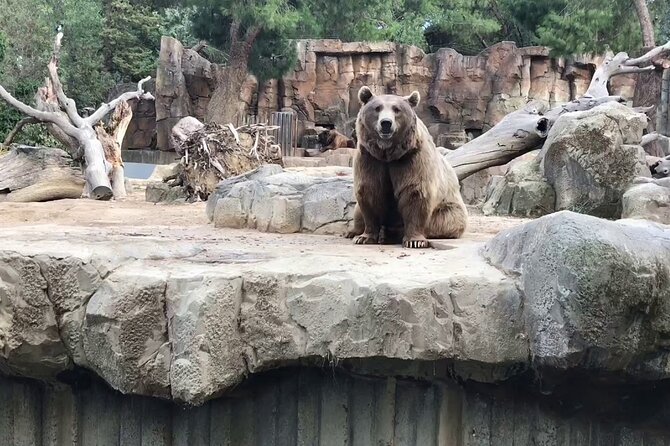 Private Half Day Tour To The Zoo In Giza - Pricing Information