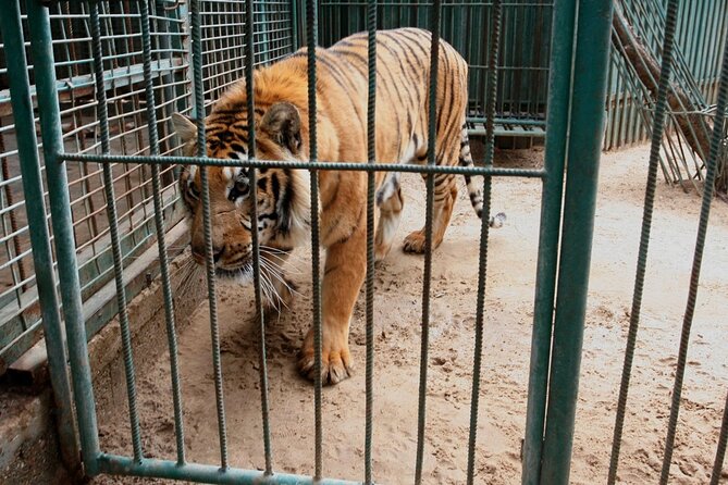 Private Half Day Tour To The Zoo In Giza - Customer Reviews and Ratings