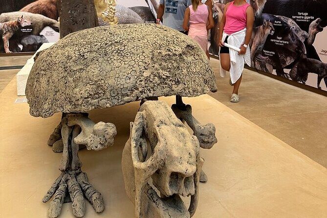 Private Half Day Tour to Tulum Ruins from Tulum - The Real Value of This Tour