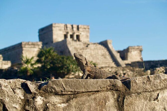 Private Half Day Tour to Tulum Temples and Downtown Shopping - What’s Included and What’s Not