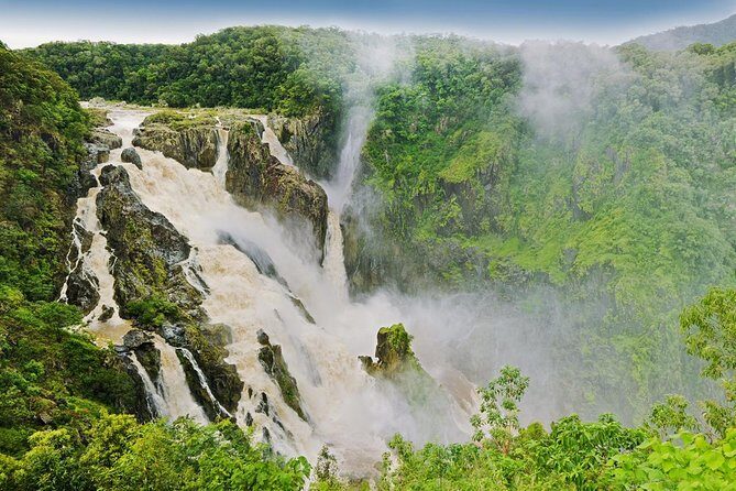 Private Half Day Tour: World Heritage Rainforest & Waterfall - The Journey Through Cairns’ Rainforests and Waterfalls