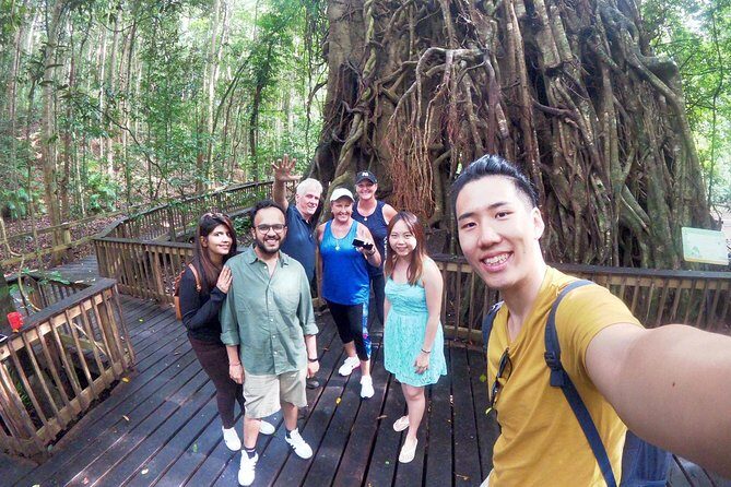Private Half Day Tour: World Heritage Rainforest & Waterfall - How the Tour Elevates Your Cairns Visit