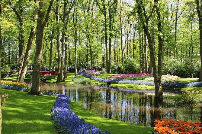 Private Half-Day Trip From Amsterdam to The Tulip Fields in Keukenhof - The Experience: What to Expect