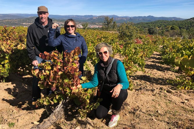 Private Half-Day Wine Tour Near Madrid - Rated Unique and Personalized - Belmonte De Tajo