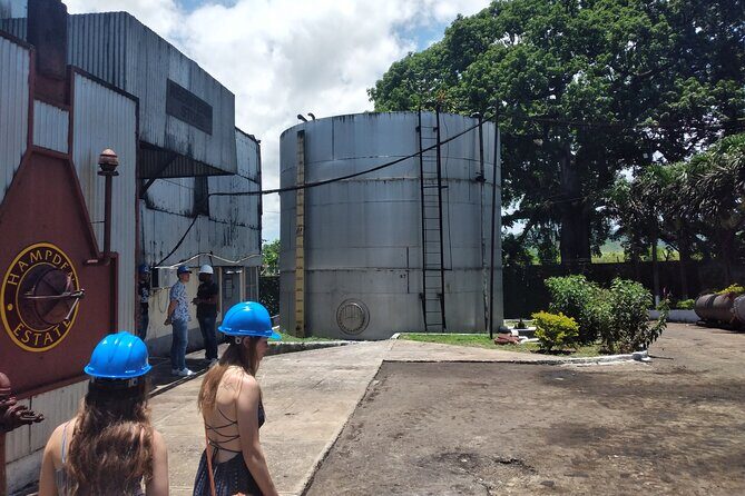 Private Hampden Estate Rum Tour from Montego Bay or Falmouth - An Authentic Jamaican Rum Experience in Trelawny