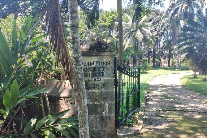 Private Hampden Estate Rum Tour from Montego Bay or Falmouth - Final Thoughts