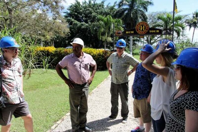 Private Hampden Estate Rum Trip from Montego Bay - What Travelers Say