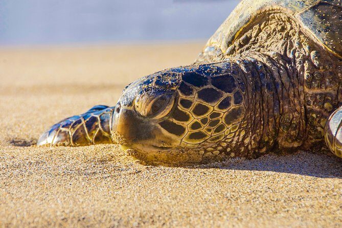 Private Hana Highway Highlights - What Past Travelers Say