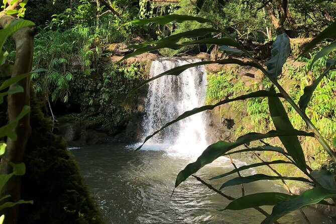 Private Hana Highway Highlights - Frequently Asked Questions