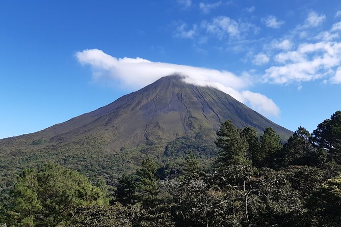 Private Hanging Bridges / Waterfall / Typical Lunch / Volcano-Lava Fields Combo - Mistico Arenal Hanging Bridges