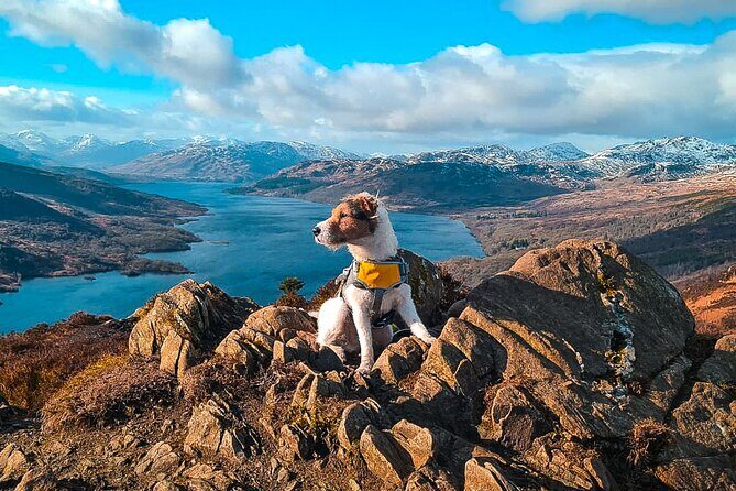 Private Harry Potter, Glenfinnan Viaduct, Highlands tour Glasgow - The Itinerary in Detail: What to Expect