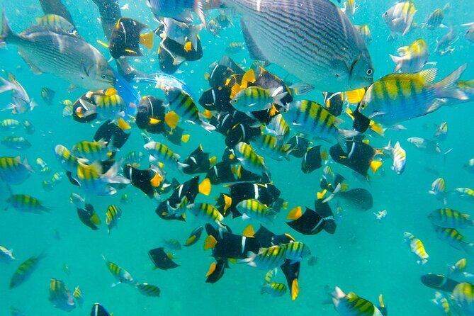 Private Hidden Beach from Punta de Mita - What Real Travelers Say