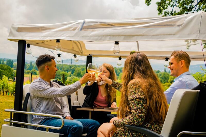 Private Highlights Top Places Tour Electric TukTuk 1h15 - Key Points
