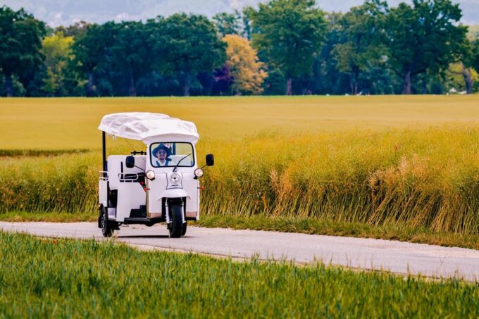 Private Highlights Top Places Tour Electric TukTuk 1h15 - Personalized Experience