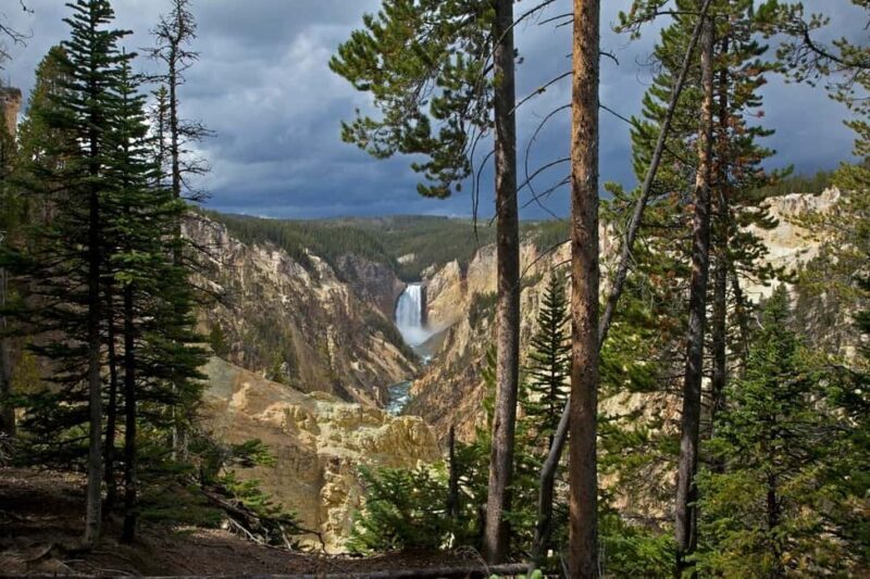 Private Highlight's Tour of Yellowstone National Park - Who Should Consider This Tour?