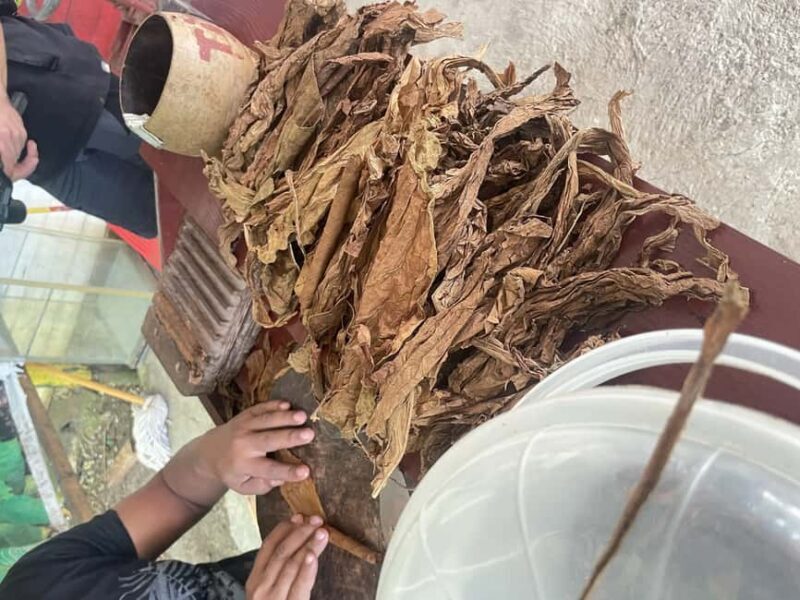 Private Higuey City Tour - Key Points