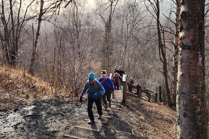 Private Hike and History Trip in Palmer, Alaska - What Travelers Love and Why