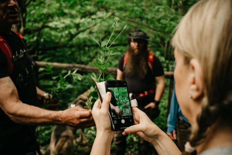 Private Hike: Brecon Beacons Henrhydd Falls Plus Foraging - Exploring the Brecon Beacons With a Foraging Hike and Waterfall Visit