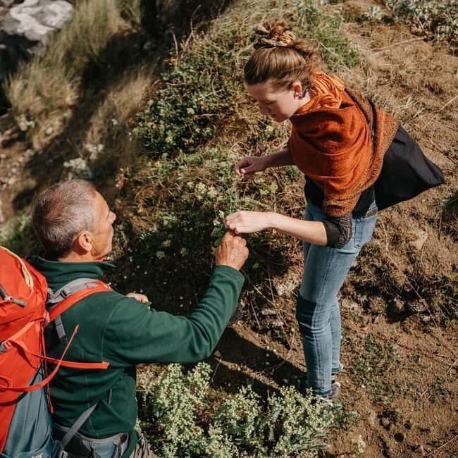 Private Hike: Brecon Beacons Henrhydd Falls Plus Foraging - Who Should Book This Tour?