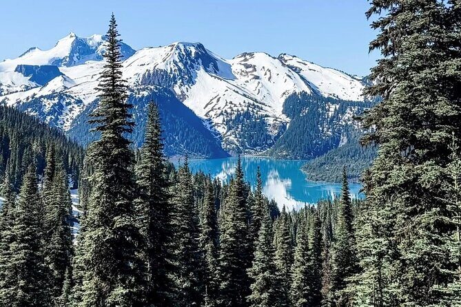 Private Hiking Day Tour of Garibaldi Lake Panorama Ridge - Detailed Analysis of the Experience