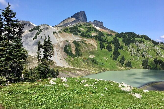 Private Hiking Day Tour of Garibaldi Lake Panorama Ridge - The Sum Up