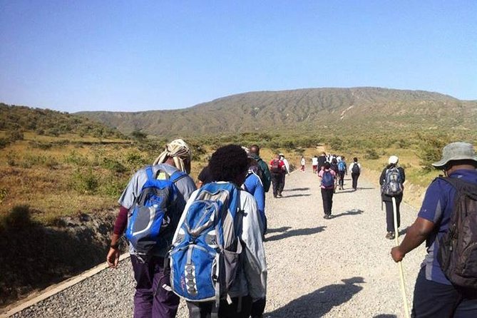 Private Hiking Day Trip to Mt. Longonot From Nairobi - Pricing Information
