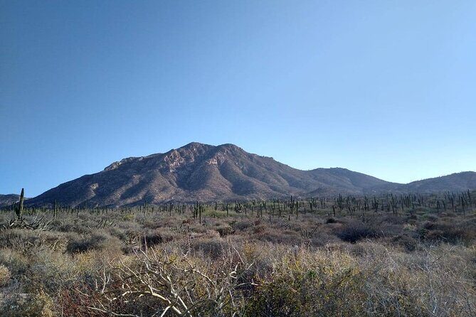 Private Hiking in La Paz - An Overview of the Experience