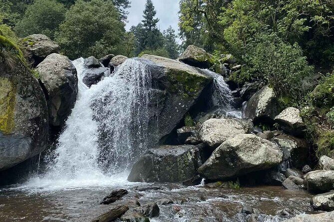 Private Hiking to Chipinique from Monterrey - Key Points  