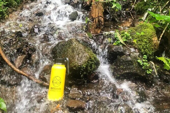 Private Hiking to Chipinique from Monterrey - Exploring the Itinerary: What to Expect  