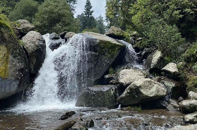 Private Hiking to Chipinique from Monterrey - The Sum Up  