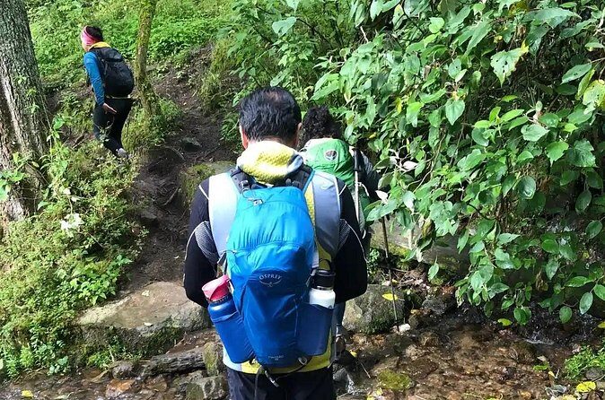 Private Hiking to Chipinique from Monterrey - Frequently Asked Questions