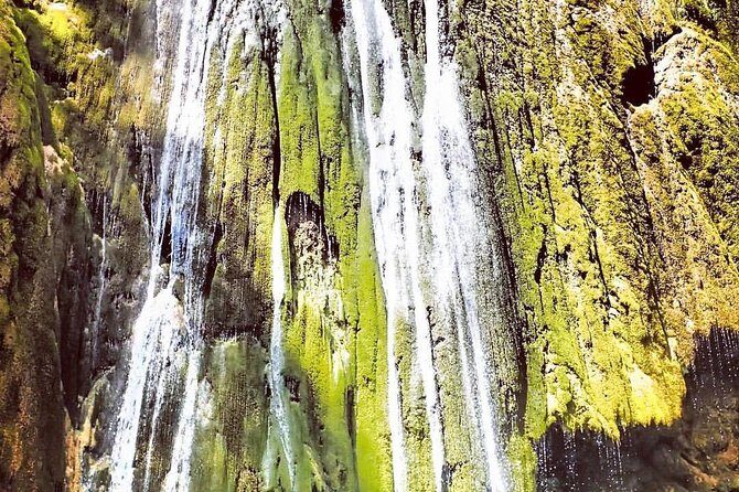 Private Hiking to Salto el Limon with a Local expert Guide from Samana - What to Expect from the Tour