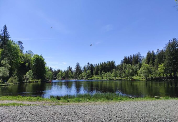 Private Hiking Tour Bergen Mountains Like a Local - Booking Details and Cancellation Policy