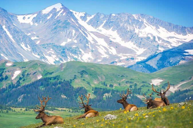 Private Hiking Tour Experience at Rocky Mountain National Park - Who Would Love This Tour?