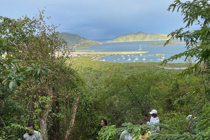 Private Hiking Tour in British Virgin Island with the Best 360 View - Reviews in Their Own Words