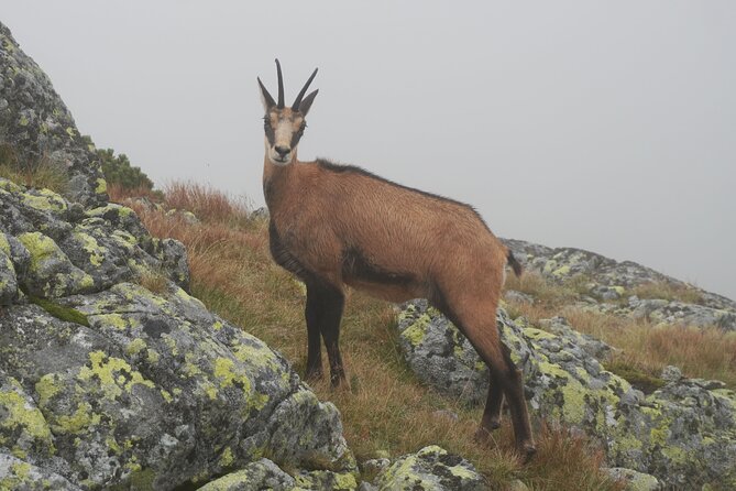 Private Hiking Tour Visit to Slovakia With Licensed Guide - Inclusions Highlighted