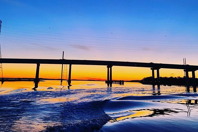 Private Hilton Head Sunset Boat Cruise (Up to 14 Passengers) - Discovering Local Wildlife and Ecosystems