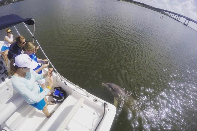 Private Hilton Head Sunset Dolphin Tour - Scenic Sunset Highlights